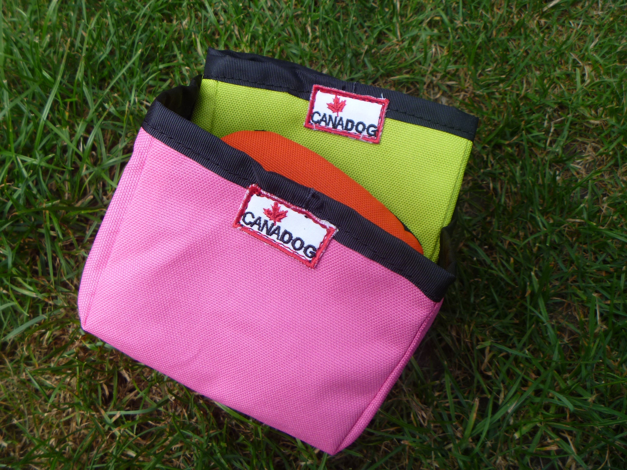 Collapsible Water Bowl for Dogs - Florescent colours